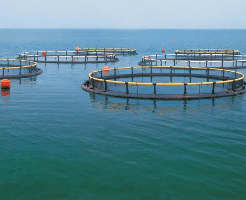 1672984878168649.jpg 養殖1.jpg