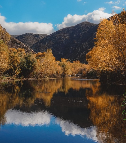 1675905035309244.jpg 26.jpg