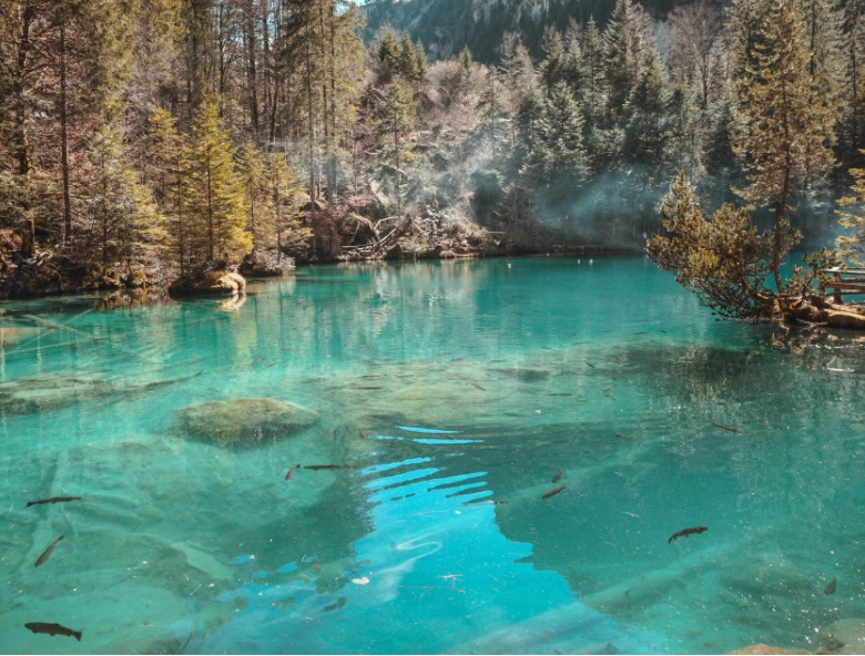 1676613168106042.jpg 4.jpg