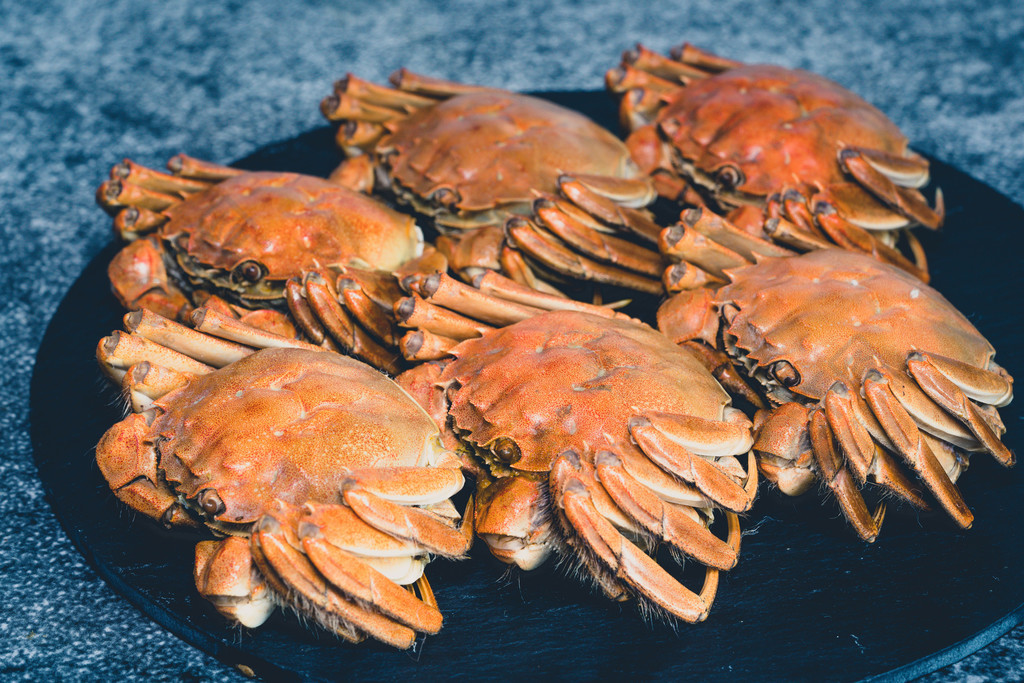 1679643032845275.jpeg 水產品3螃蟹.jpeg