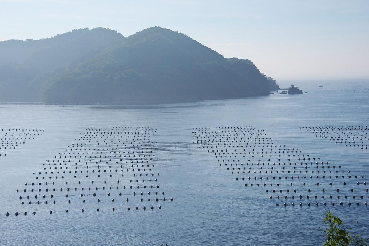 水產養殖 (2).jpeg