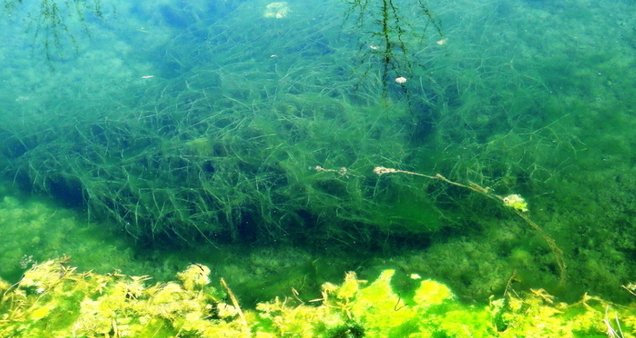 1693635066545002.png 1693635066545002.png