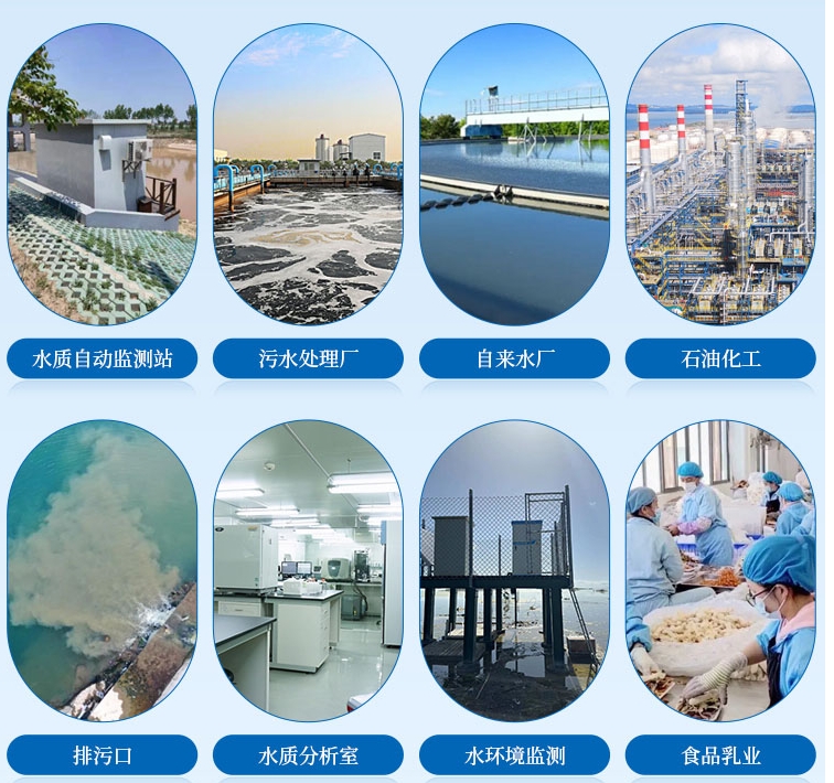 1708569565674099.jpg 葉綠素應用行業.jpg