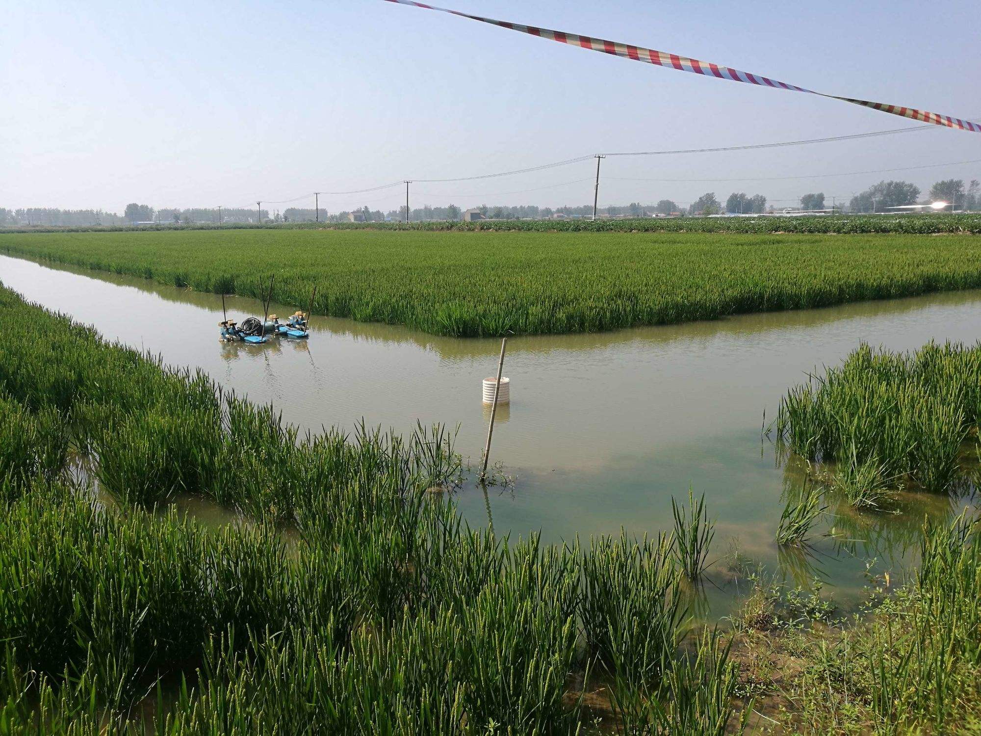 1715235211517082.png 1715235211517082.png