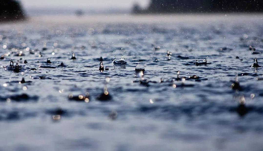 1718690832142737.jpg 1718690832142737.jpg