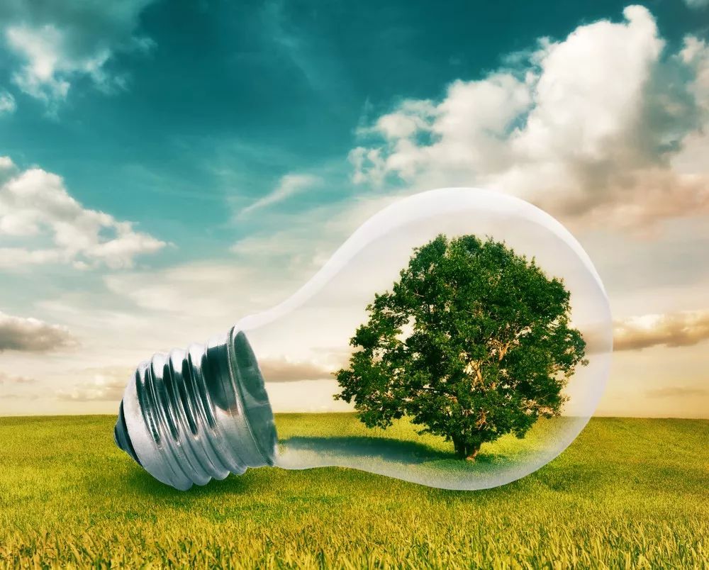 1725089354673494.jpg 1725089354673494.jpg