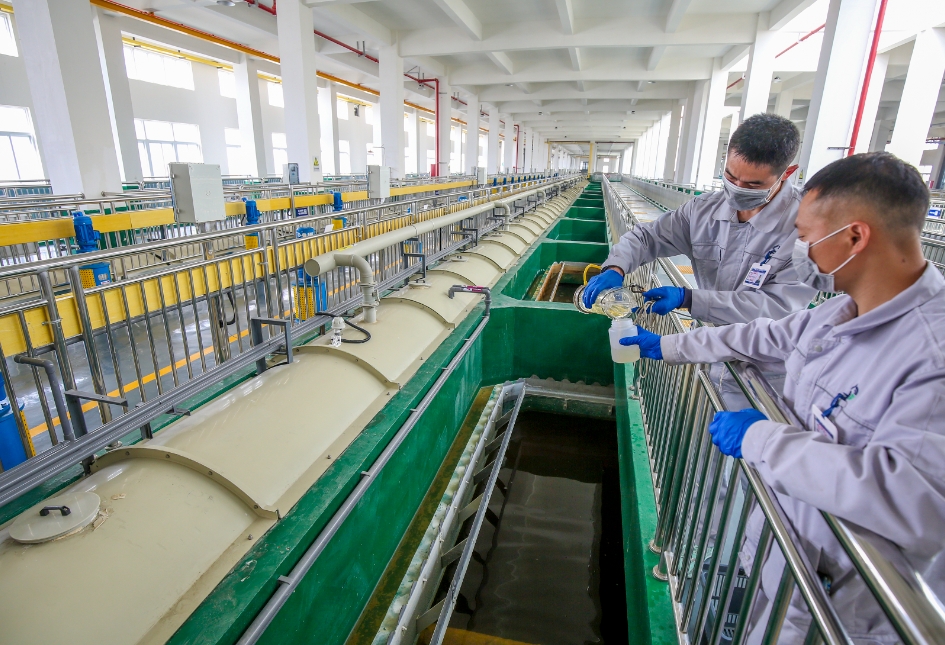 1755487299304177.jpg 1755487299304177.jpg