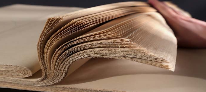 1756867484352722.png 造紙行業2.png